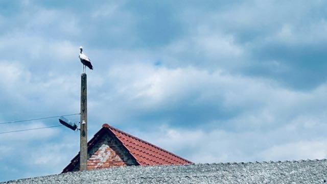 Heimat machen können
